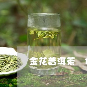 金花普洱茶 价格/2023041000494